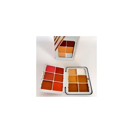 concealer and blush cream lareen